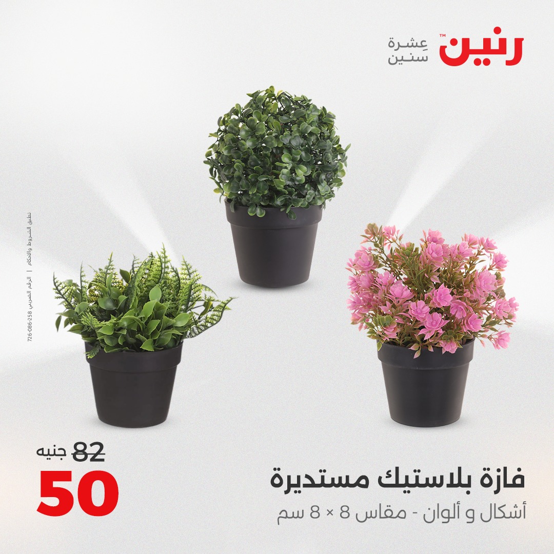 raneen offers from 30aug to 2aug 2025 عروض رنين من 30 أغسطس حتى 2 أغسطس 2025 صفحة رقم 196